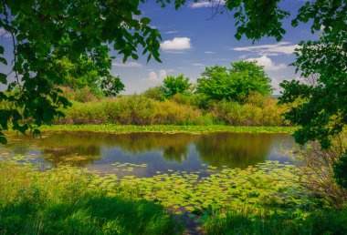sıcak yaz gününde