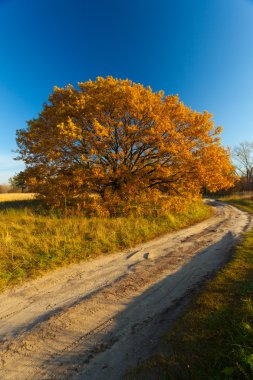 sıcak yaz gününde