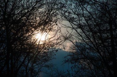 sisli göl üzerinde inanılmaz güzel gündoğumu