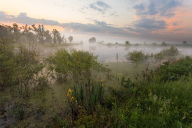 sisli göl üzerinde inanılmaz güzel gündoğumu