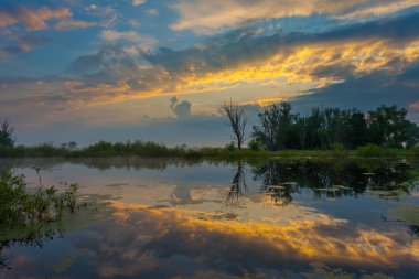 sisli göl üzerinde inanılmaz güzel gündoğumu