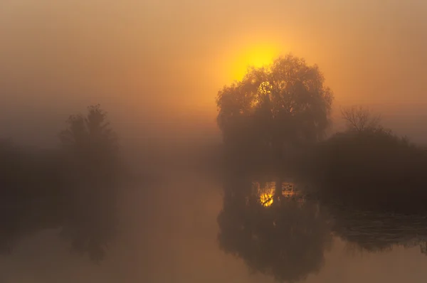 Amazingly beautiful sunrise over Lake, foggy — Stock Photo, Image