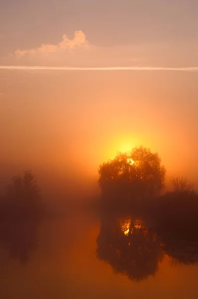 Εκπληκτικά όμορφη ανατολή του ηλίου πάνω από τη λίμνη, η ομίχλη — Φωτογραφία Αρχείου