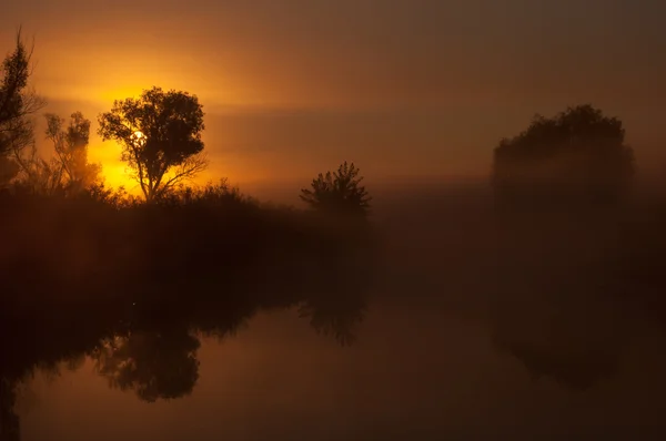 Εκπληκτικά όμορφη ανατολή του ηλίου πάνω από τη λίμνη, η ομίχλη — Φωτογραφία Αρχείου