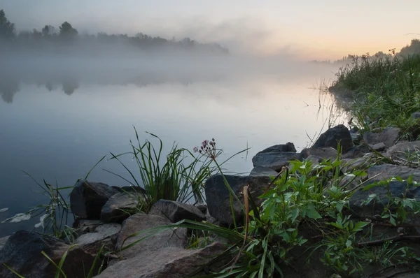 Sorprendentemente bella alba sul lago, nebbioso — Foto Stock