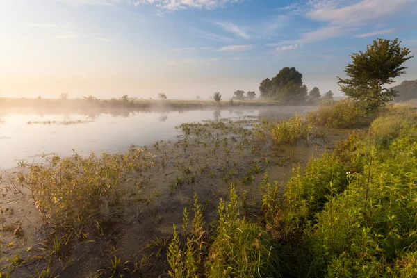 Traumhaft schöner Sonnenaufgang über dem See, neblig — Stockfoto