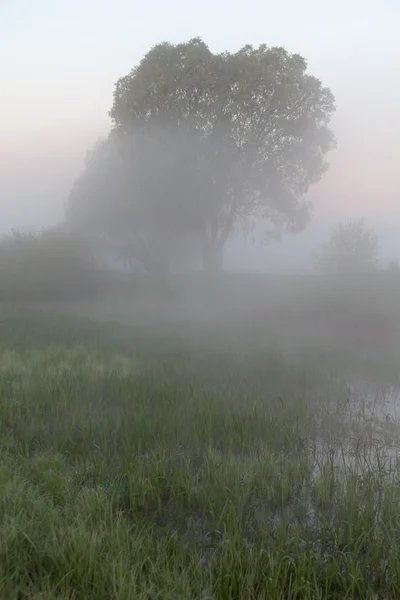 Amazingly beautiful sunrise over Lake, foggy — Stock Photo, Image