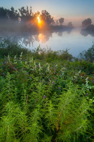 Surpreendentemente belo nascer do sol sobre o lago, nebuloso — Fotografia de Stock