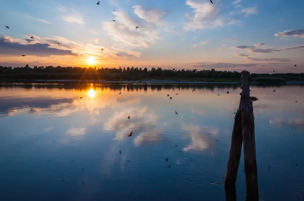 강 풍경 선셋 — 스톡 사진
