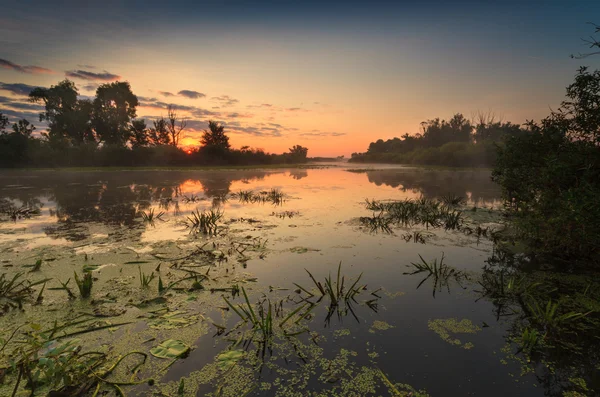 Landschap zonsondergang op de rivier — Stockfoto