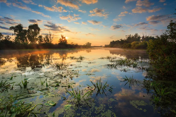 Landscape sunset on the river — Stock Photo, Image