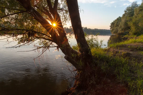 Pôr do sol paisagem no rio — Fotografia de Stock