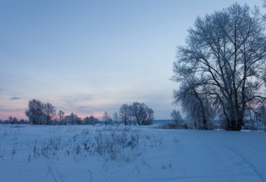 Karla kaplı ağaçlarla kaplı güzel kış manzarası