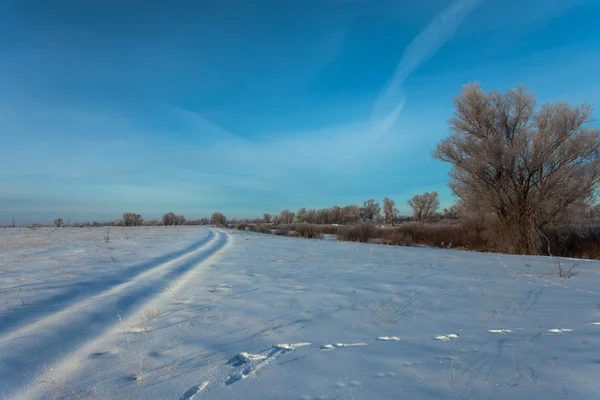 Piękny zimowy krajobraz z pokrytymi śniegiem drzewami — Zdjęcie stockowe