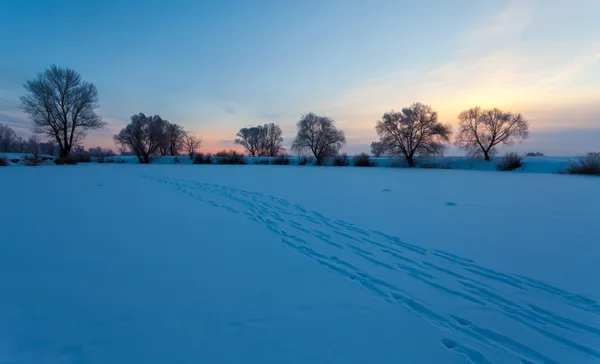 Όμορφο χειμερινό τοπίο με χιονισμένα δέντρα — Φωτογραφία Αρχείου