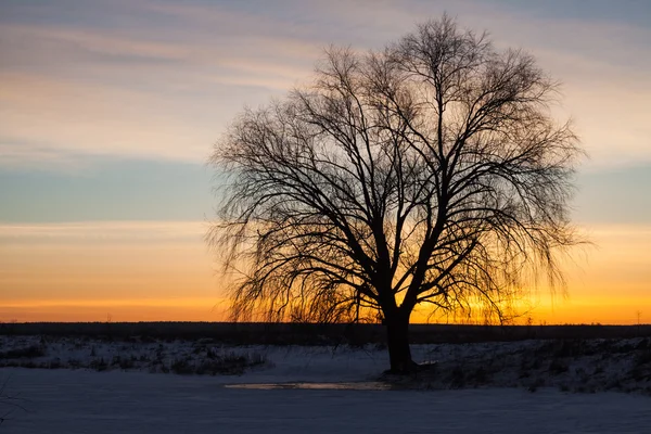 Zimní krajina, svítání nad řekou — Stock fotografie