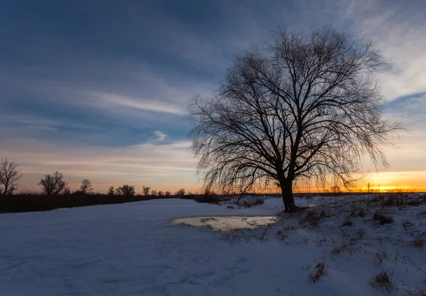 Zimowy krajobraz, Świt nad rzeką — Zdjęcie stockowe