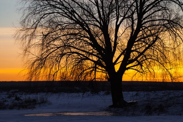 Téli táj, a hajnal a folyón — Stock Fotó