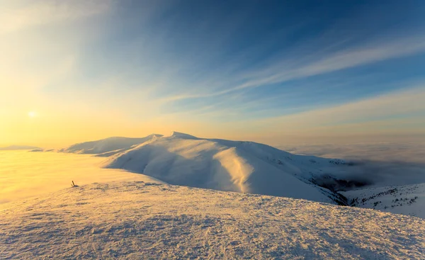 Cime sopra le nuvole — Foto Stock