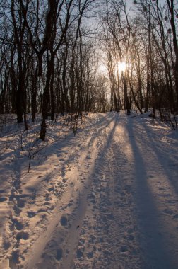 sıcak yaz gününde