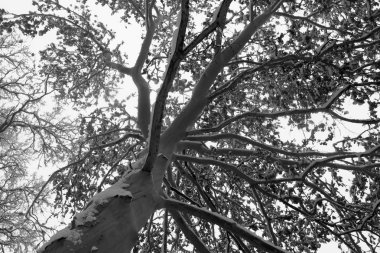 sıcak yaz gününde