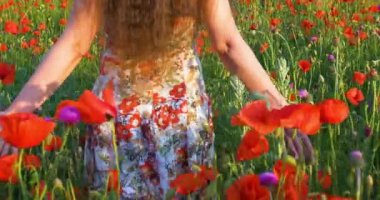 Genç kız, sıcak gün ışığında gelincik çayırında daireler çiziyor.