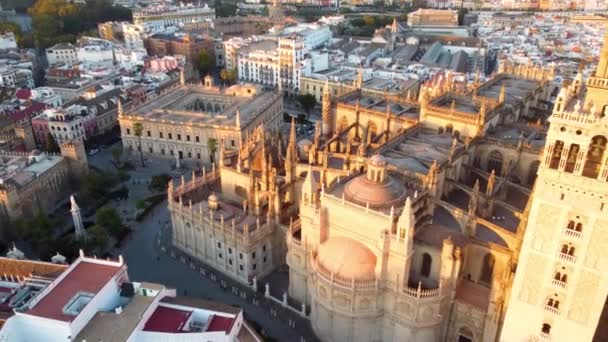 Catedral de Sevilla. Drone de la hermosa ciudad española de Sevilla al amanecer, UHD, 4K — Vídeo de stock