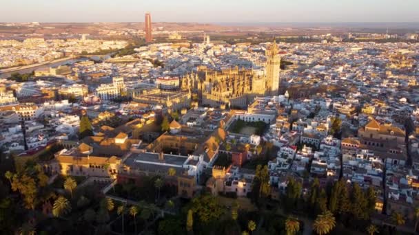 Catedral de Sevilla. Drone de la hermosa ciudad española de Sevilla al amanecer, UHD, 4K — Vídeo de stock