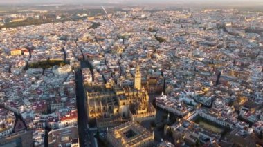 Sevilla Katedrali. İspanya 'nın güzel şehri Seville' in insansız hava aracı çekimi, UHD, 4K