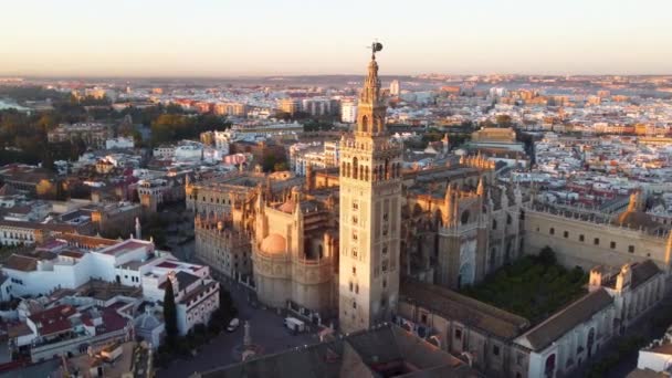 Catedral de Sevilla. Drone shot de la hermosa ciudad española — Vídeo de stock