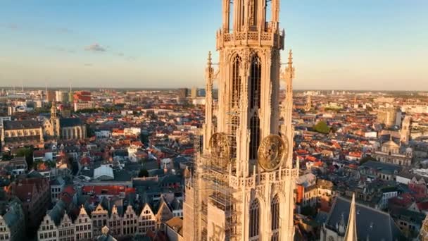 Aerial View Cityscape Antwerps Gotic Style Landmark Cathedral Our Lady — Stock video