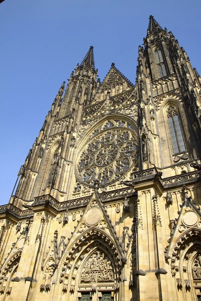 Kathedraal van saint vita in Praag — Stockfoto