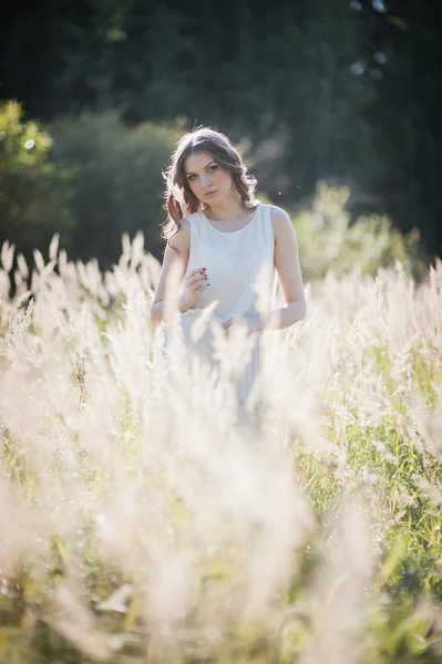 Ragazza nell'erba alta . — Foto Stock