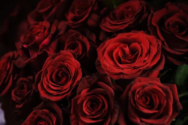 Bouquet of faded roses — Stock Photo, Image