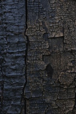 eski ahşap dokulu çatlaklar ve yetiştirilen