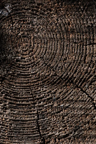 Textura Madera Vieja Cultivada Con Grietas — Foto de Stock