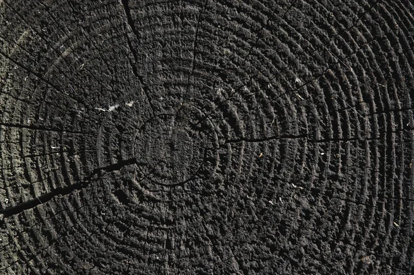 Textura Madera Vieja Cultivada Con Grietas — Foto de Stock