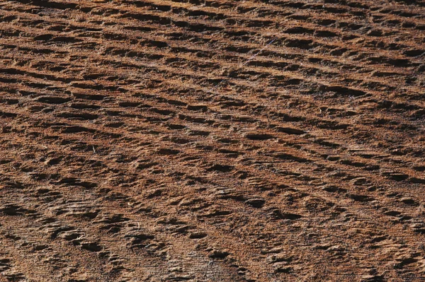 Textura Madera Vieja Cultivada Con Grietas —  Fotos de Stock