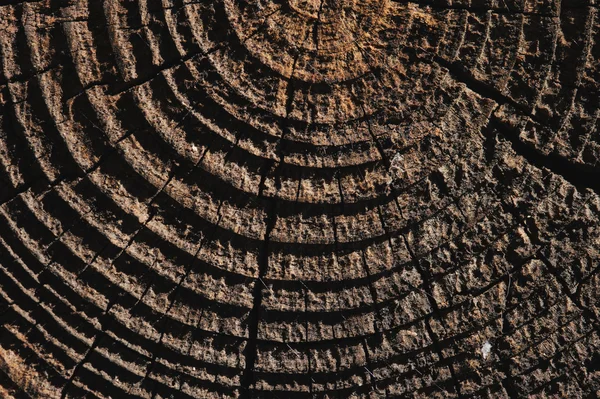 Grown Old Wooden Texture Cracks — Stock Photo, Image