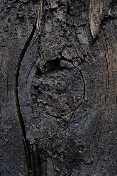 Textura Madera Vieja Cultivada Con Grietas —  Fotos de Stock