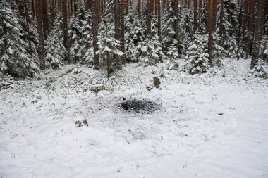 Manzara. Karla kaplı ormanda şenlik ateşi ve insan varlığının izleri.