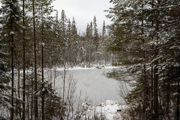 Paisagem Lago Floresta Após Primeira Geada Primeira Queda Neve Cercado — Fotografia de Stock