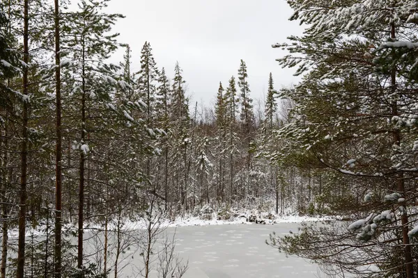 森林湖在第一次霜冻和第一次降雪之后 被白雪覆盖的冷杉和松树环绕的森林湖泊 — 图库照片