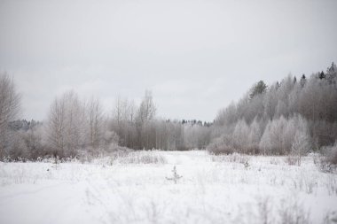 Soğuk bir gün. İnce söğütler, huş ağaçları, kavak ağaçları ince bir beyaz don tabakasıyla kaplıdır..