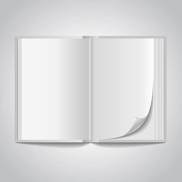Libro en blanco abierto del vector — Archivo Imágenes Vectoriales