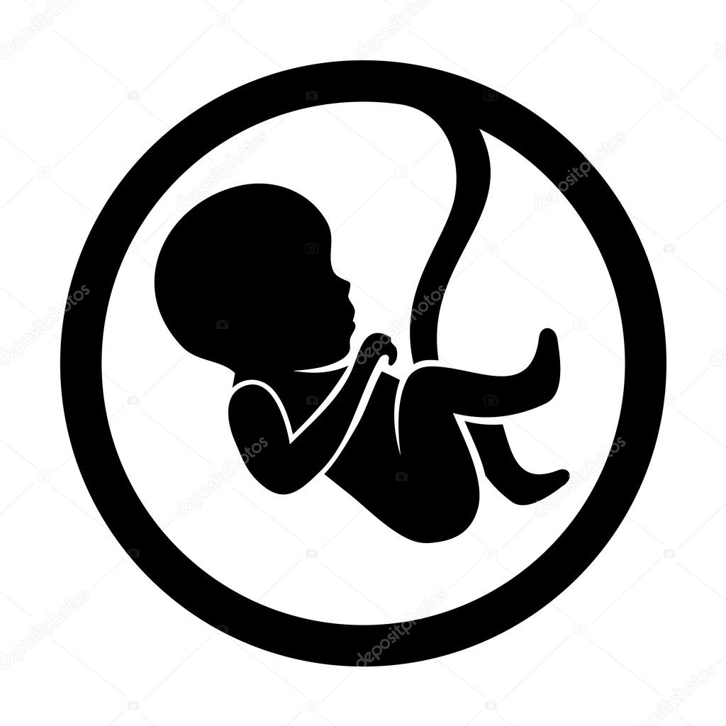 Fetus Icon Isolated on White Background