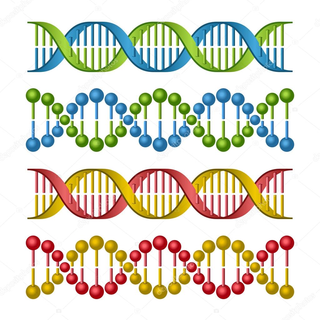 DNA Molecules Set for Science and Medicine Design. Vector