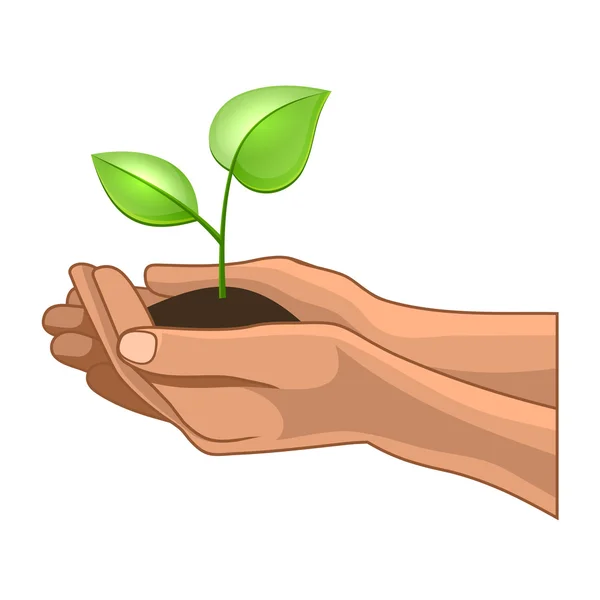 Hands and Plant on White Background. Vector — Stock Vector