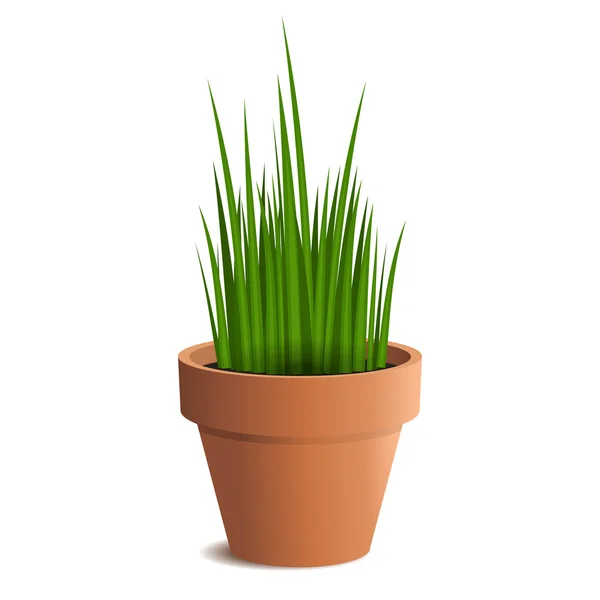 Green grass in a pot isolated on white background. Vector — Stock Vector