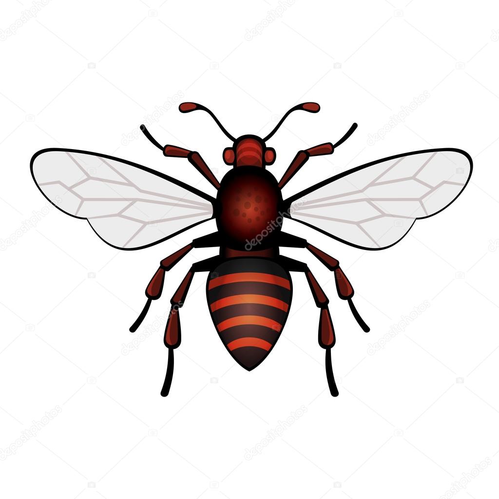 Red Bee Icon Vector